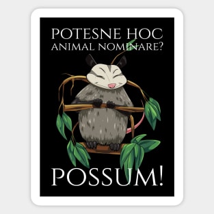 Classical Latin Language Meme - Possum - Wordplay Pun Sticker